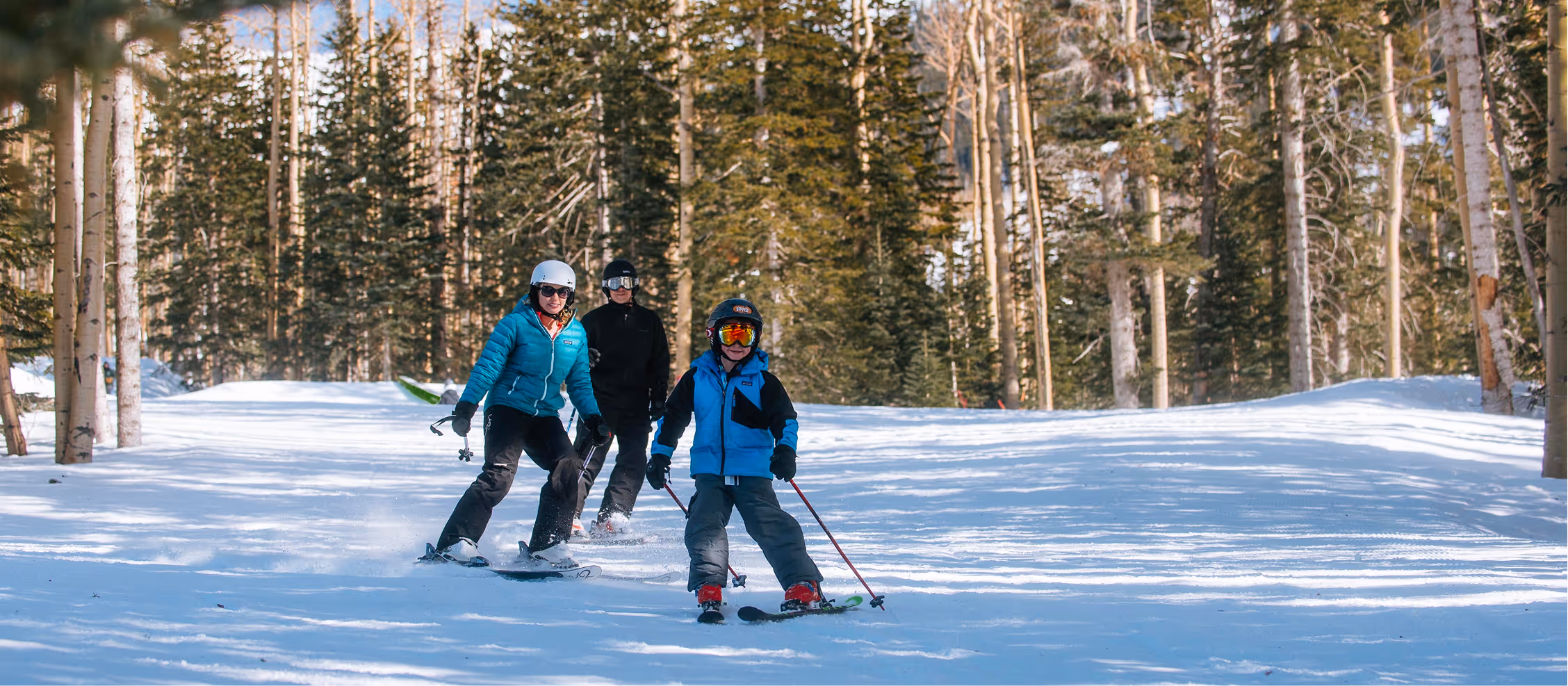 Three skiers descend snowy slope through pine forest on winter day